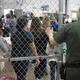 Illustration for article titled Elizabeth Warren Describes Horrors at Border Processing Center